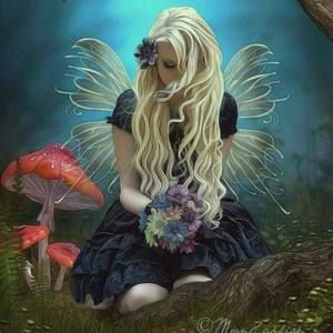 Meet your Posher, Victoria